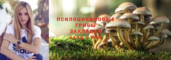 первитин Дмитровск