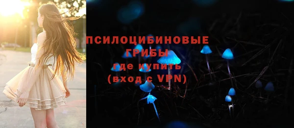 a pvp Дмитриев