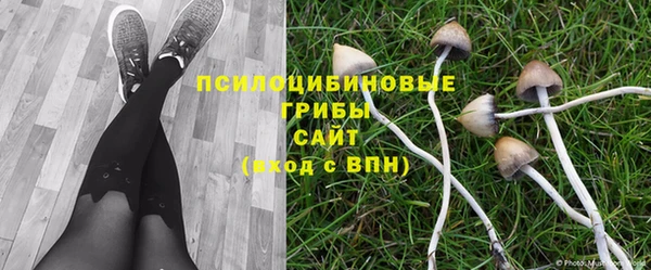 прущая мука Дмитров