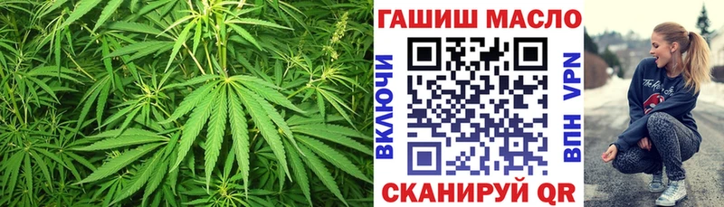Купить закладки  Нефтекумск  ТГК концентрат 