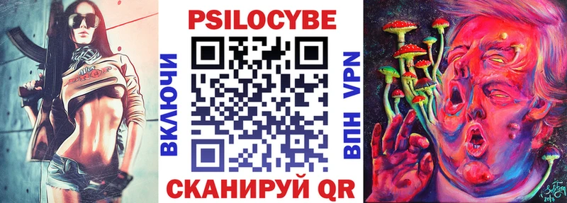 Купить  Нефтекумск  Галлюциногенные грибы Psilocybine cubensis 